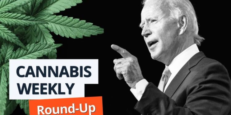 Cannabis Round-Up: Poll Shows Rescheduling Would Boost Biden Support, Trulieve Launches Appeal in Alabama