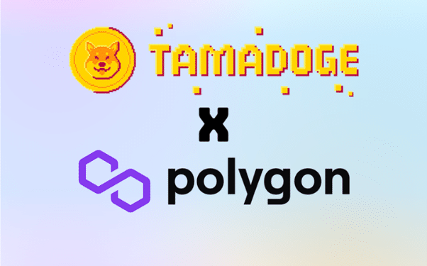 Play-to-Earn Games Leader Tamadoge Announces $TAMA V2 on Polygon