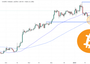 Bitcoin Price Pushes Above $44,000 as Bulls Regain Control – Where Next for BTC?