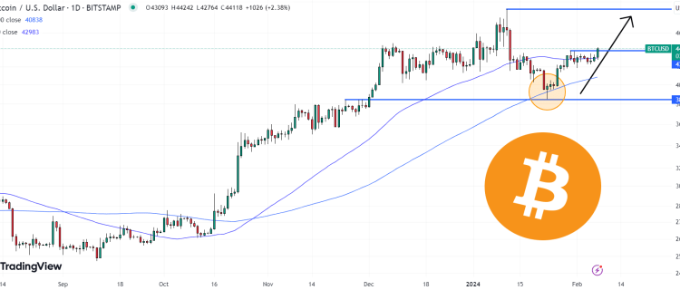 Bitcoin Price Pushes Above $44,000 as Bulls Regain Control – Where Next for BTC?