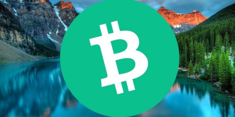 Is It Too Late to Buy Bitcoin Cash? BCH Price Takes Off as New Bitcoin Protocol Raises $10.7 Million