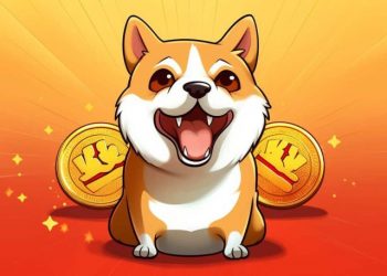 Solana’s Meme Coin ‘Bonk’ Spikes 15% On Revolut Listing Report