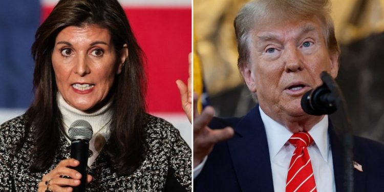 Here are the areas where Haley could put up a fight as Trump looks to sweep the South Carolina primary