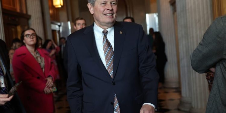 Trump, Republican candidates express support for IVF in face of political backlash