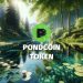 PondCoin Token (PNDC) Plunged. Should Investors Buy?