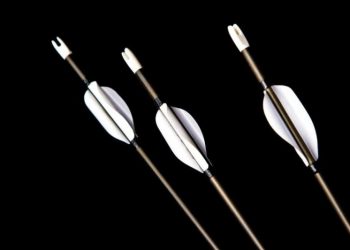 3AC Co-Founder Kyle Davies Stands Firm, Won’t Apologize for Crypto Hedge Fund Bankruptcy