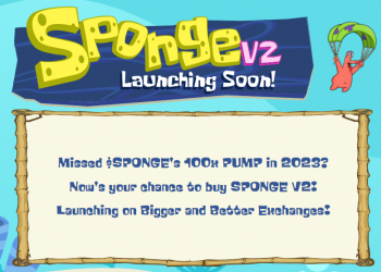 Bonk Meme Coin Community Shifts Focus to Promising New ICO, Eyeing 1000% Returns