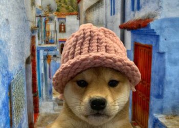 Is DogWifHat Going to Zero? WIF Price Plummets % While Mysterious New Coin Emerges