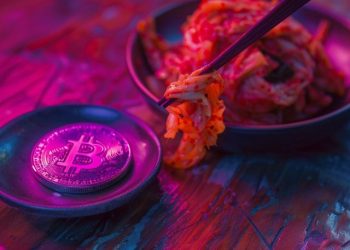 What Causes the Kimchi Premium? South Korean Experts Explain