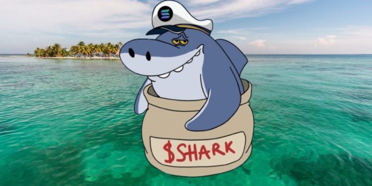 As Shark Token Rises 134,948% in 24 Hours, Another Token Eyes New Exchange Listings