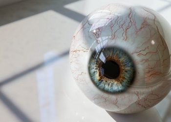 Worldcoin Maintains Legal Operations Worldwide, Despite Spanish Ban