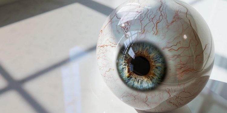 Worldcoin Maintains Legal Operations Worldwide, Despite Spanish Ban