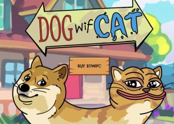 New Solana Meme Coin DogWifCat Explodes 2,367% in 24 Hours, Next $BOME?