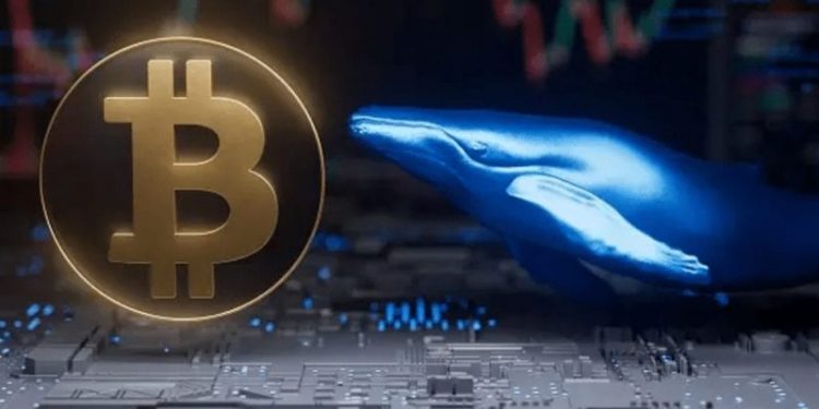 Fifth-Richest Bitcoin Whale Transfers Over $6 Billion in BTC After Years of Dormancy – What’s Going On?