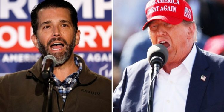 Donald Trump Jr. wants a ‘fighter’ to serve as Trump’s VP: ‘Someone who can take those hits’