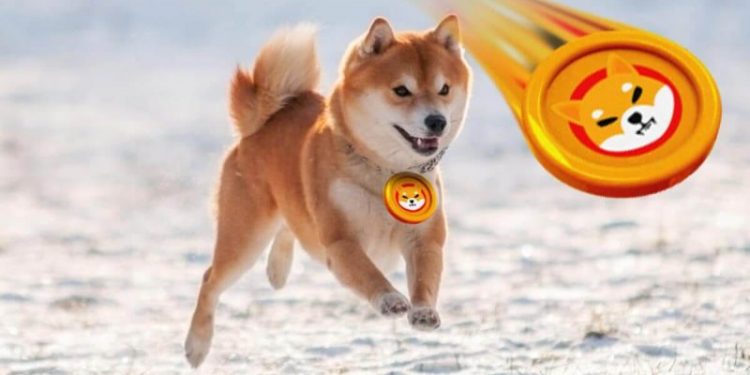 Dogecoin and Shiba Inu: Dogecoin is back above 0.18000