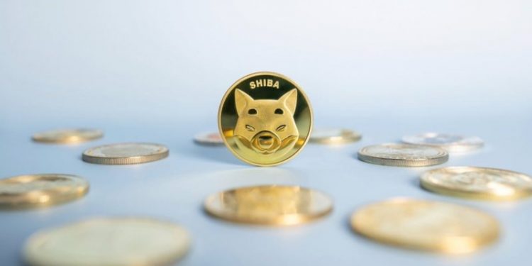Will Shiba Inu coins reach $1?