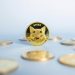 Will Shiba Inu coins reach $1?