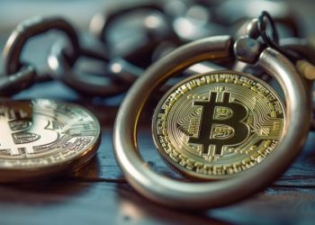 Brooklyn District Attorney Seizes 21 Web Domains Linked to ‘Pig Butchering’ Scams