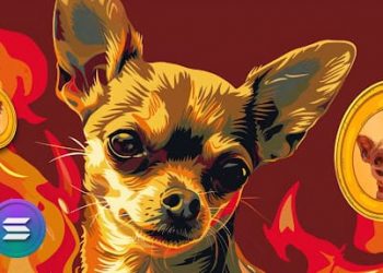 Hottest Meme Coin on Solana ‘Hump (HUMP)’ Catches Fire with Massive 2500% Surge in 72 Hours