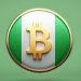 67% Nigerians Trust in Bitcoin for Life Savings than Traditional Methods: Research