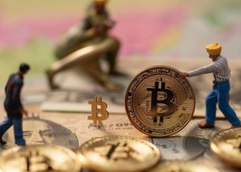 Survey Reveals 45% of Indian Users with Retirement Plans Are Investing in Crypto