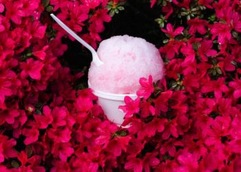 This Missouri city is a prime spot to see the eclipse. It vows not to price-gouge visitors.