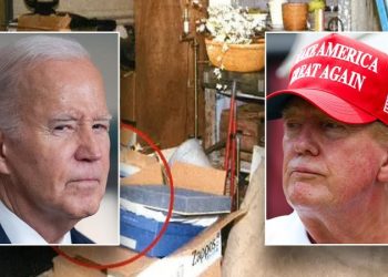 Biden had similar legal aid arrangement he slammed Trump over