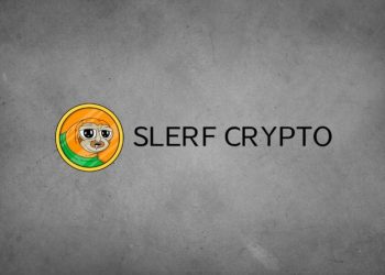 Slerf Crypto: What Do You Need to Know About This Token