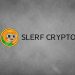 Slerf Crypto: What Do You Need to Know About This Token