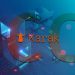 Karak Network’s ICO: Secure Tech with a Twist