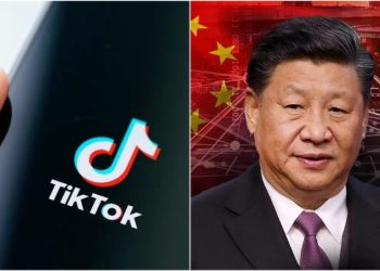 Expert warns of ‘chilling reality’ TikTok threat poses: ‘China’s greatest asymmetric advantage’