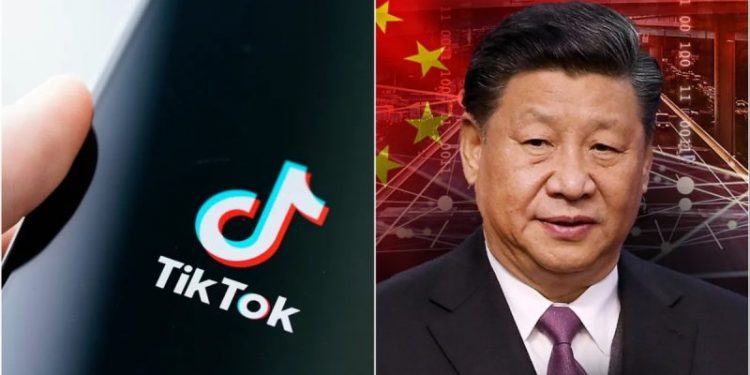 Expert warns of ‘chilling reality’ TikTok threat poses: ‘China’s greatest asymmetric advantage’