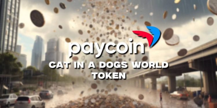 Paycoin’s Volatile 22.73% Plunge & 2024 Market Outlook