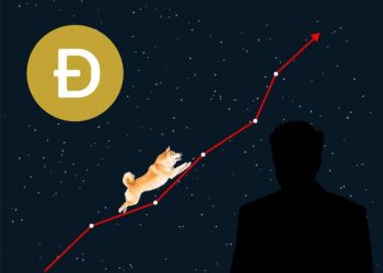 Dogecoin and Shiba Inu: Doge fell to 0.19000 this morning