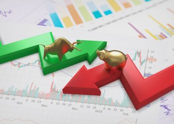 Navigating Bull and Bear Markets: Investor Strategies