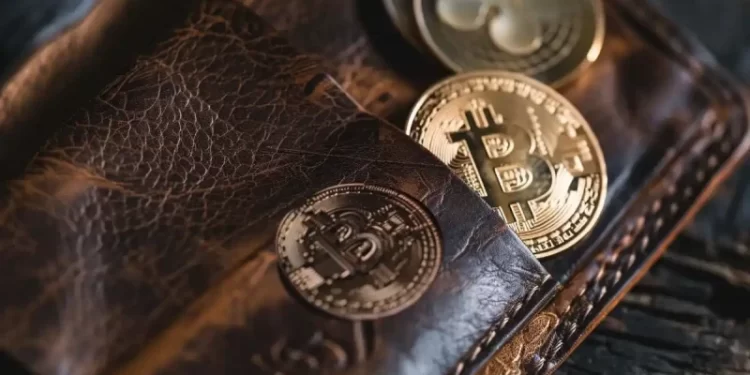 Bitcoin Wallet Comes Alive After Over a Decade of Inactivity