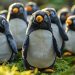 Over One Million Pudgy Penguin Toys Sold in the Past Year