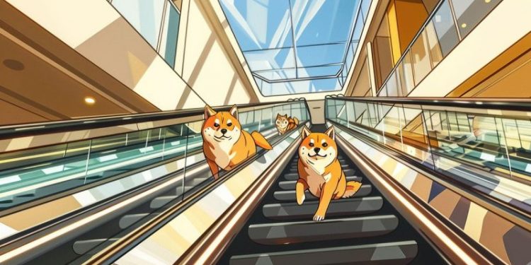 Meme Coin News: Top 10 Base Meme Coins, BONK Partners With TipLink