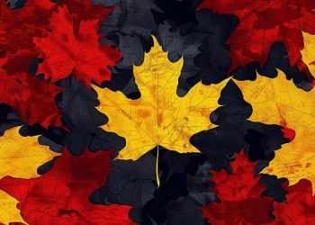 Deutsche Bank Infra Provider Taurus Expands to North America