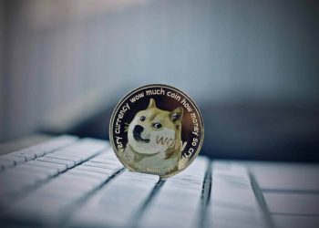 Dogecoin and Shiba Inu: Shiba Inu remains above 0.00002285