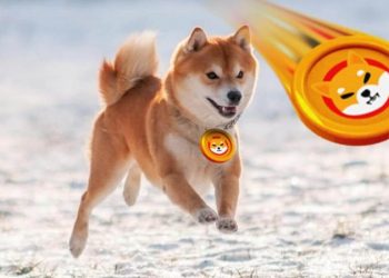 Dogecoin and Shiba Inu: Dogecoin bounced back to EMA200