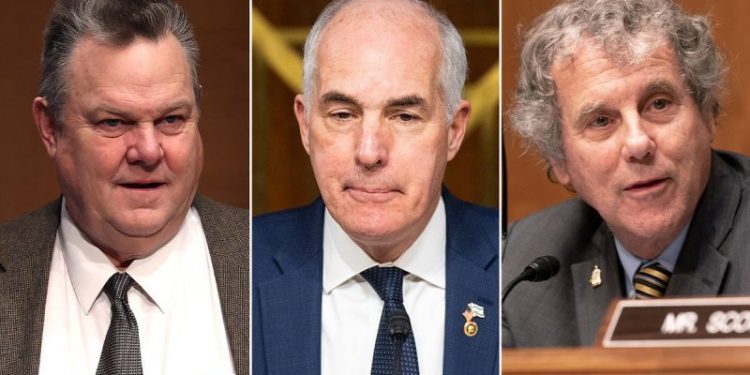 ‘Stop caving to the woke mobs’: GOP ramps up attacks on vulnerable Dems amid anti-Israel campus unrest