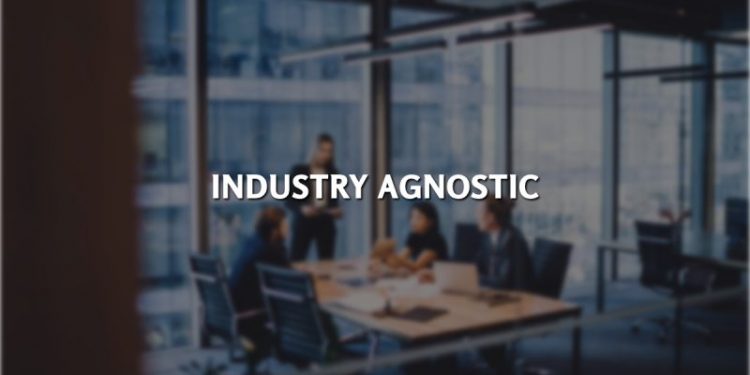 Who is Industry Agnostic, and What it Mean Professionally?
