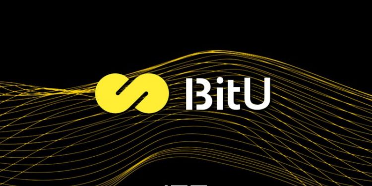 BitU Protocol ICO: Innovating Stability with $BITU in 2024