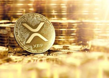 Surge In XRP Ledger Transactions Highlights Growing Activity