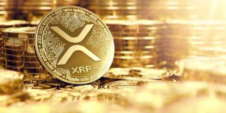Surge In XRP Ledger Transactions Highlights Growing Activity