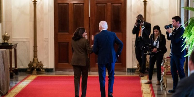 10 options if Democrats actually try to replace Biden