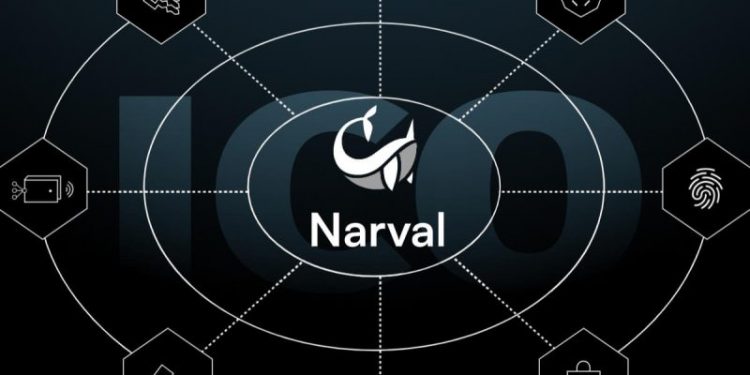 Narval ICO: Revolutionizing Web3 Wallet Management