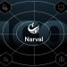 Narval ICO: Revolutionizing Web3 Wallet Management